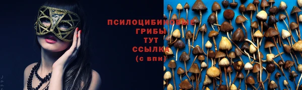 прущая мука Армянск