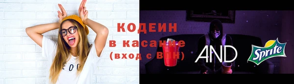 крисы Лагань