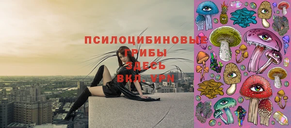 прущая мука Армянск