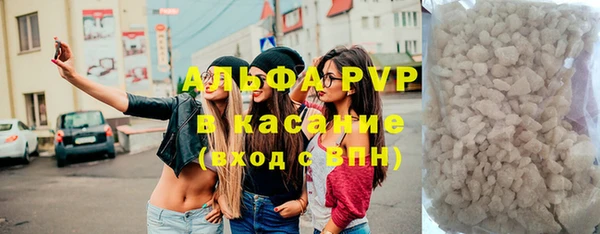 гидра Алексин