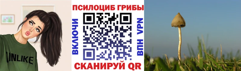 Галлюциногенные грибы прущие грибы  Рудня 
