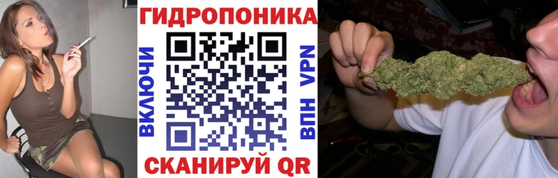 Конопля марихуана  цены   Рудня 